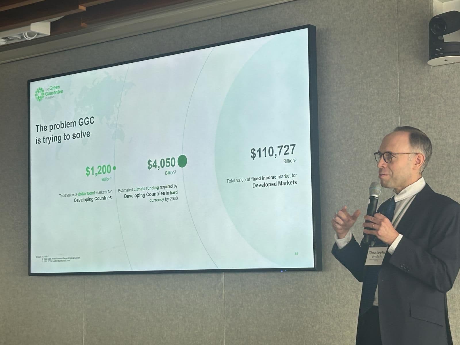 Using Guarantees To Boost Sustainable Development